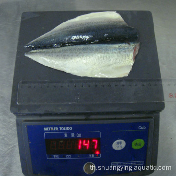 Frozen Pacific Mackerel พนังผีเสื้อ